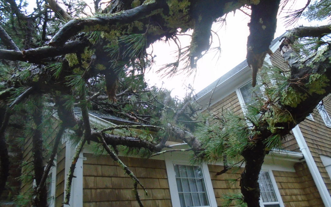 Disaster Damage To Cape Cod Homes